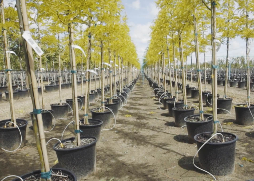 A Birds Eye View Into the Farm. Garden Gate Nursery